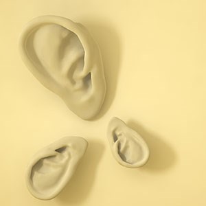 Illustrasjon av ører