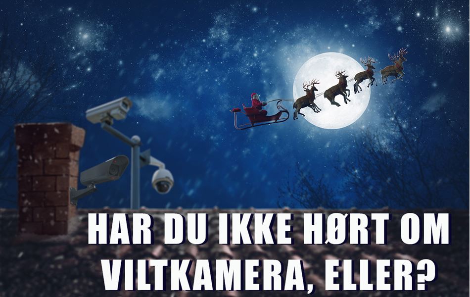 Viltkamera_1220p.jpg
