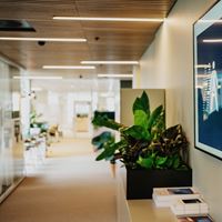 Vil du jobbe i Datatilsynet? Vi har flere ledige stillinger