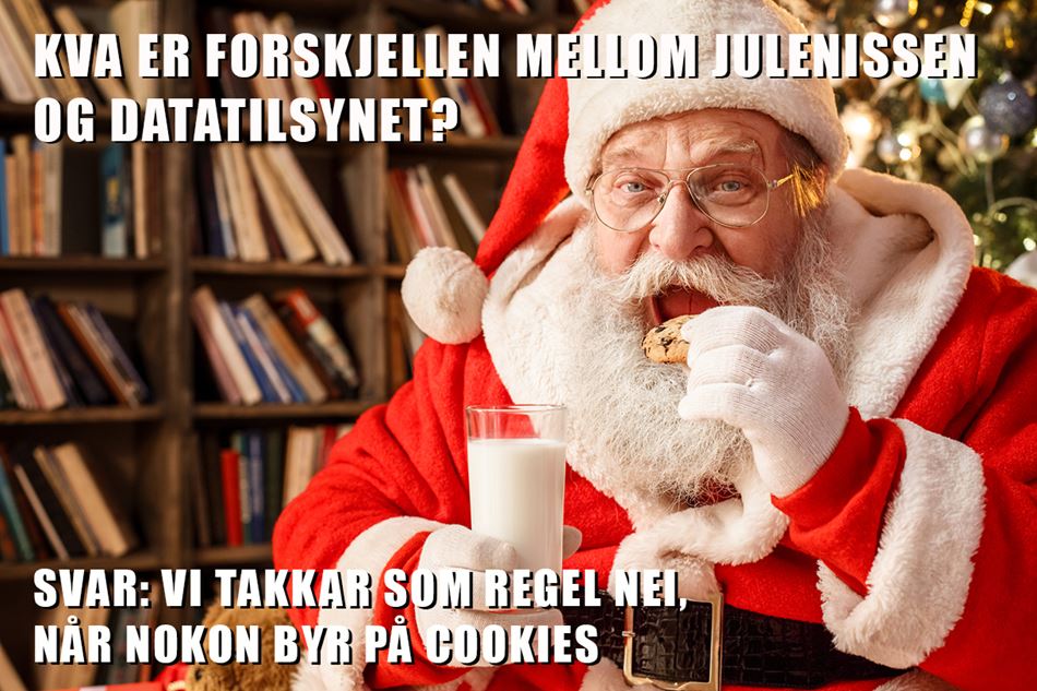 Datatilsynet og cookies_NYN.jpg
