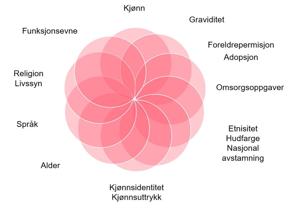 diskrimineringsgrunnlag4.jpg